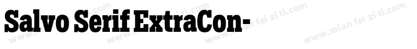 Salvo Serif ExtraCon字体转换